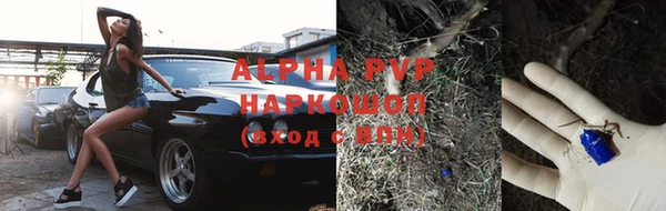 стафф Белокуриха
